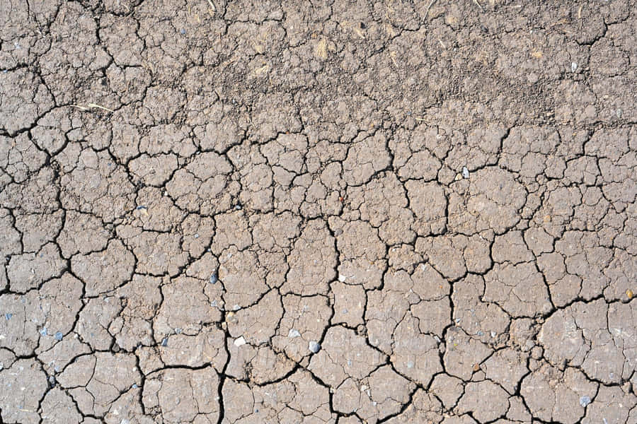 Dry Mud Cracked Ground Texture Drought Wallpaper