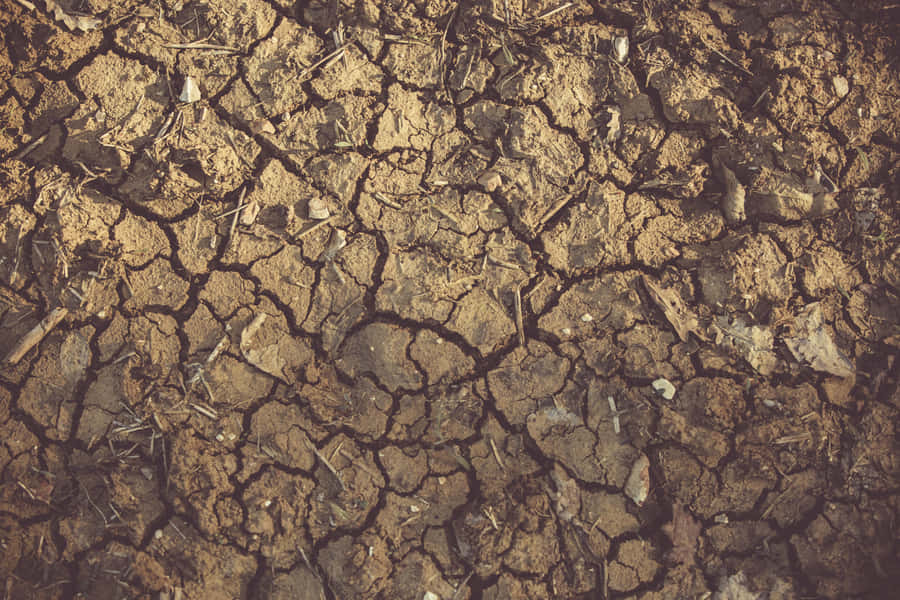 Dry Mud Cracked Soil Barren Land Wallpaper