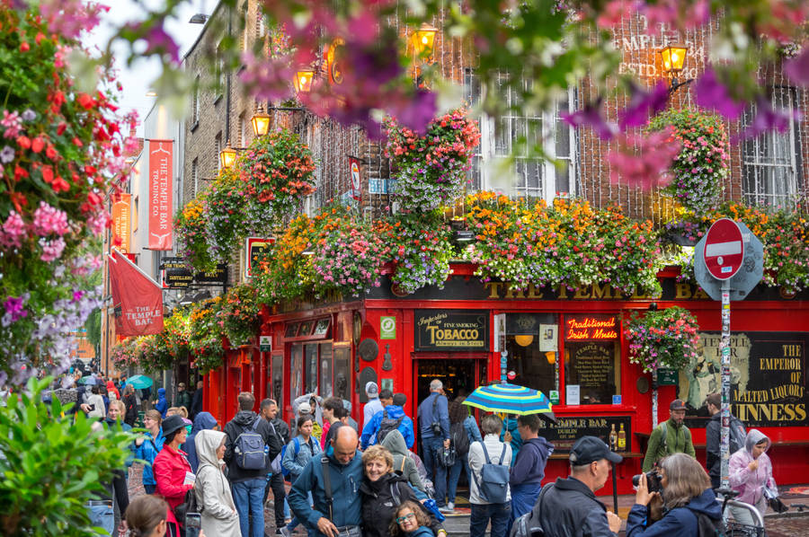 Dublin Vibrant Street Wallpaper