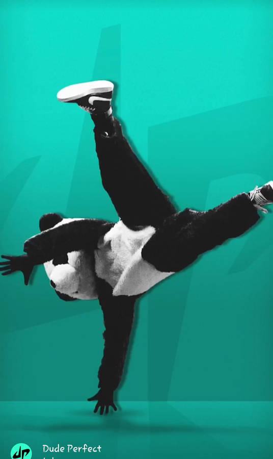 Dude Perfect Panda Dancing Wallpaper