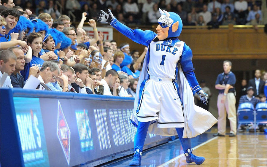 Duke Blue Devils Mascot Shot Wallpaper