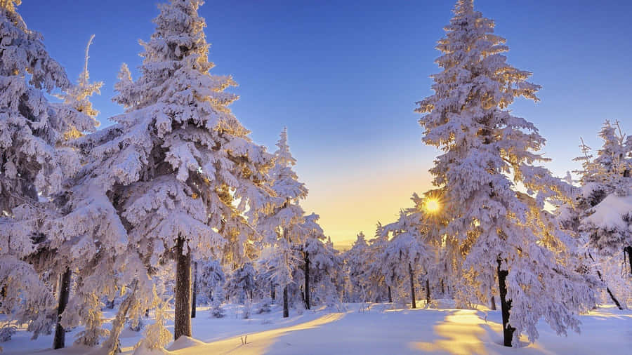 Dusk Winter Hd Desktop Wallpaper