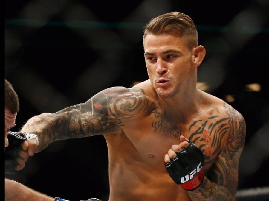 Dustin Poirier Confident Punch Wallpaper