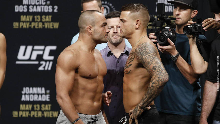 Dustin Poirier Eddie Alvarez Staring Wallpaper