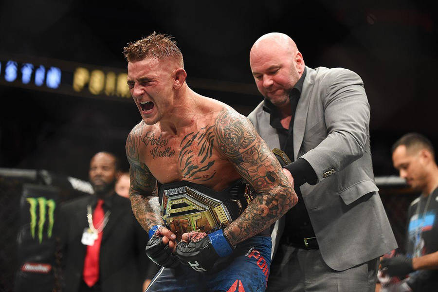 Dustin Poirier Putting On Belt Wallpaper