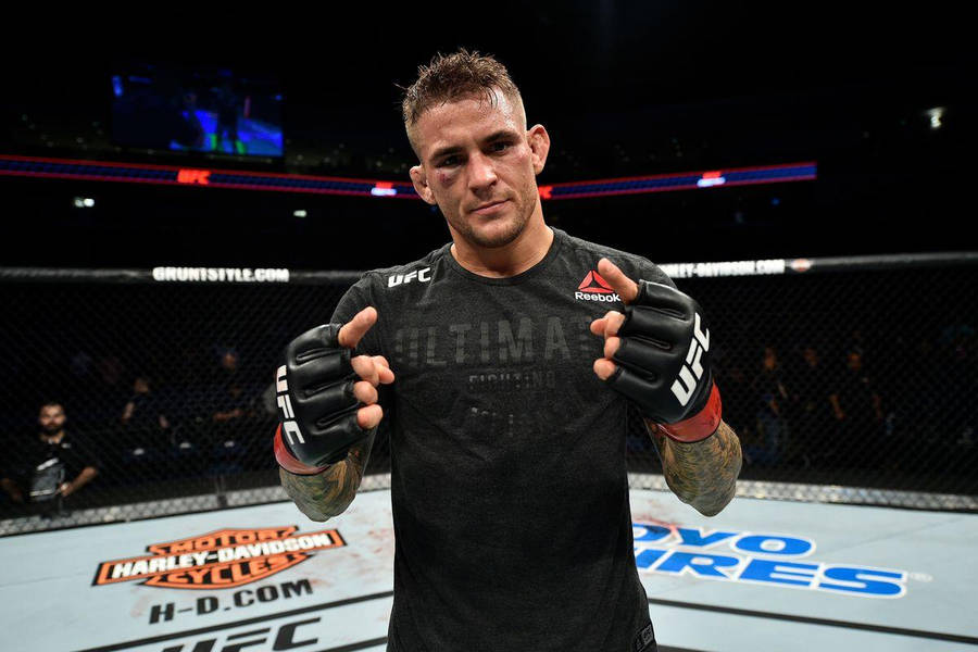 Dustin Poirier Showing Off Gloves Wallpaper