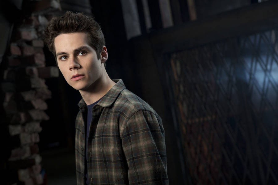 Dylan O'brien Checkered Sleeves Wallpaper