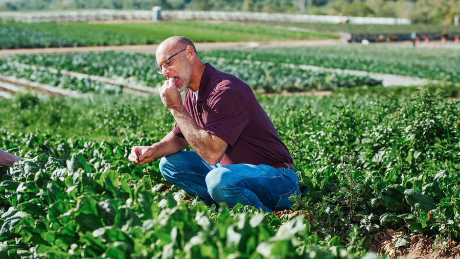 Eating Spinach Wallpaper