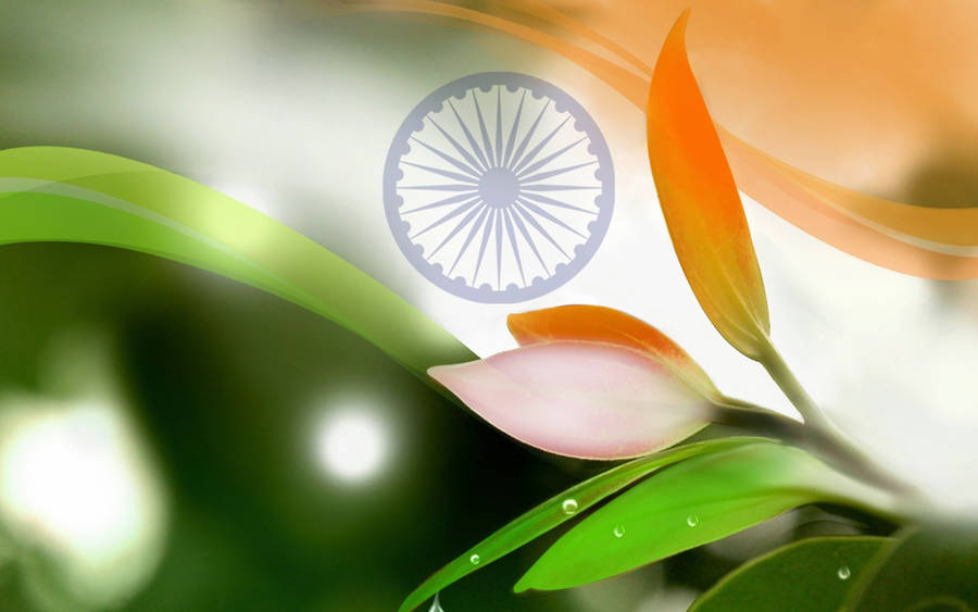 Eco Indian Flag Wallpaper