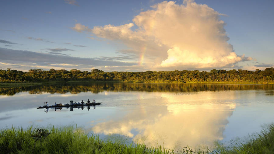 Ecuador Yasuni National Park Wallpaper