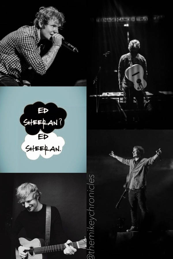 Ed Sheeran Black And White Collage Wallpaper