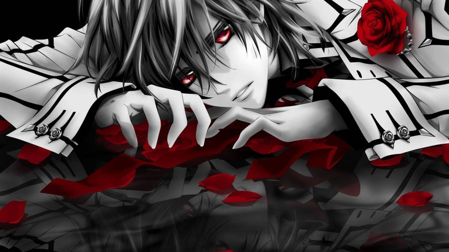 Edgy Anime Boy Kaname Kuran Wallpaper