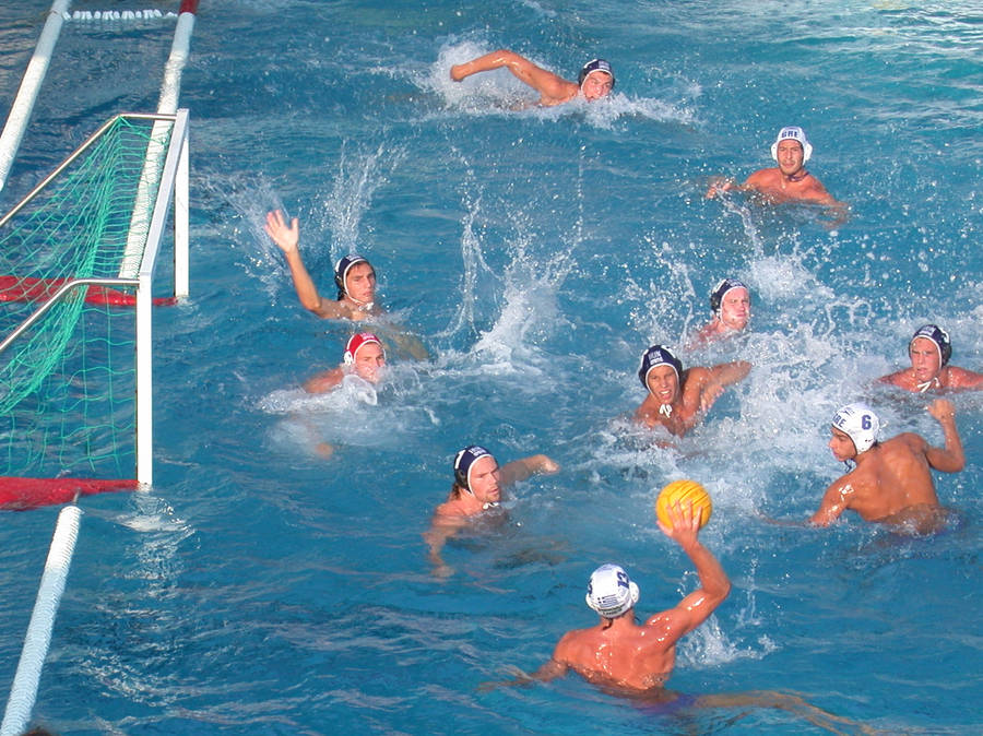 Edubilla Water Polo Practice Wallpaper