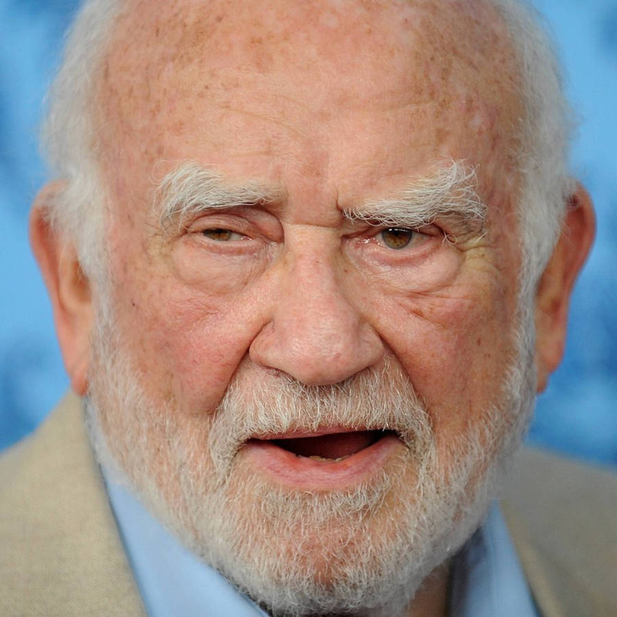 Edward Asner Close-up Gray Beard Wallpaper