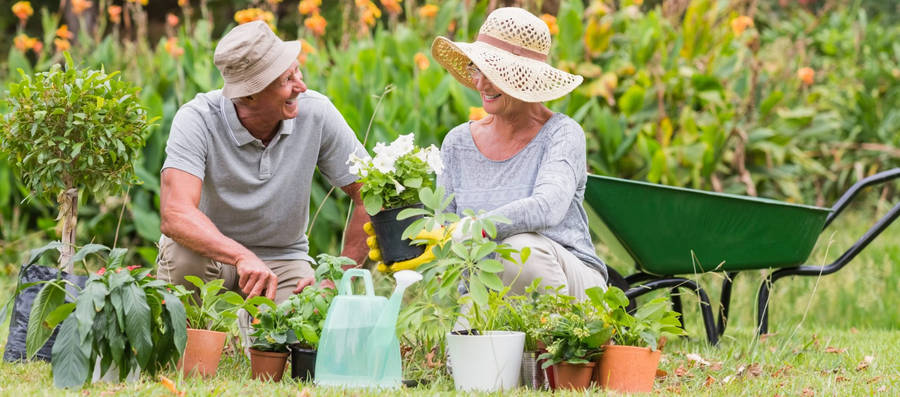 Elderly Couple Gardening Wallpaper