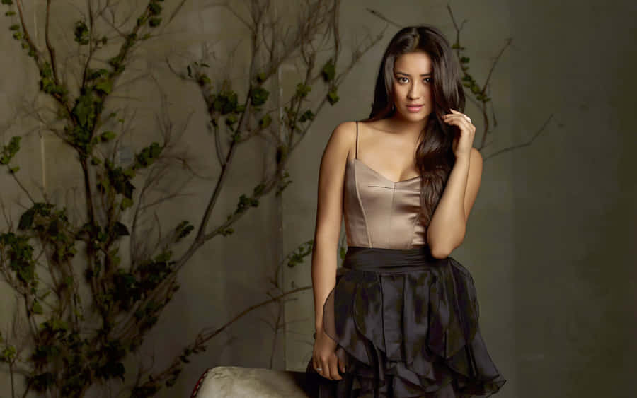 Elegant Evening Attire Shay Mitchell Wallpaper