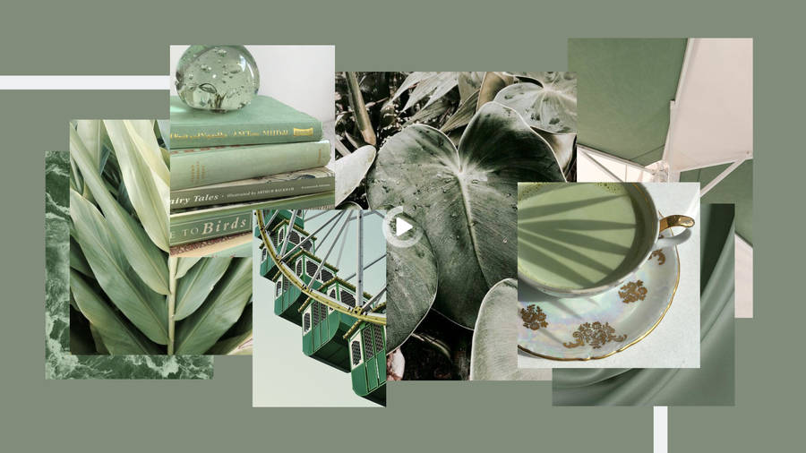 Elegant Pastel Green Aesthetic Laptop Wallpaper