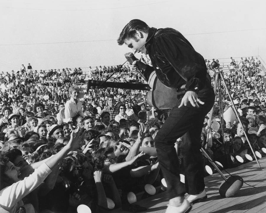 Elvis Presley Concert Wallpaper