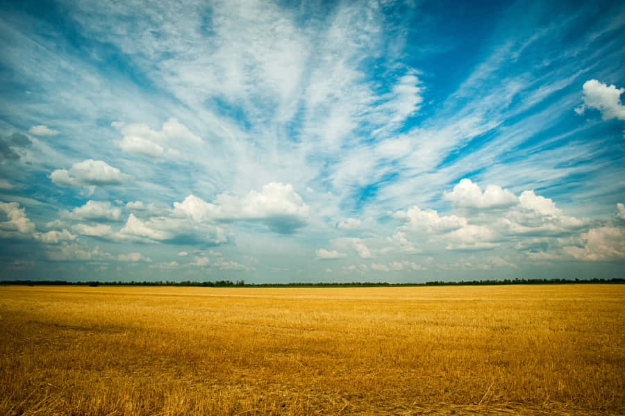 Embarking On A Journey Of Discovery With Blue Skies Ahead Wallpaper