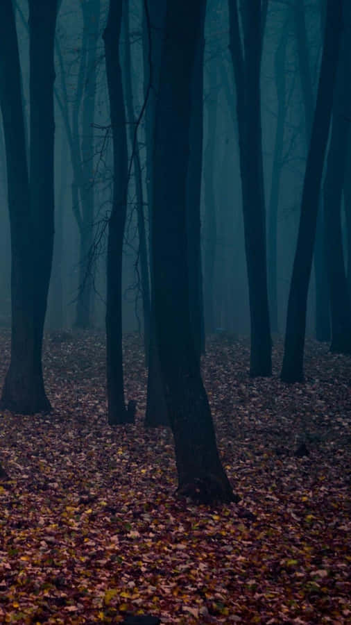 Embrace Autumn's With The Iphone 6 Plus Wallpaper