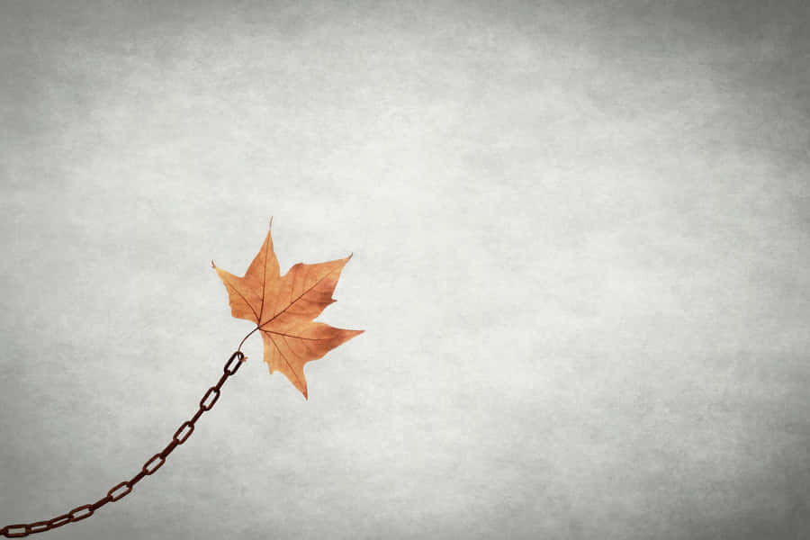 Embrace The Beauty Of Minimalist Autumn Wallpaper