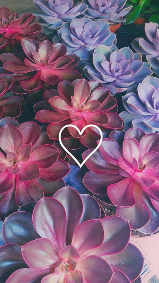 Embrace The Beauty Of Nature With This Cute Aesthetic Flower Wallpaper