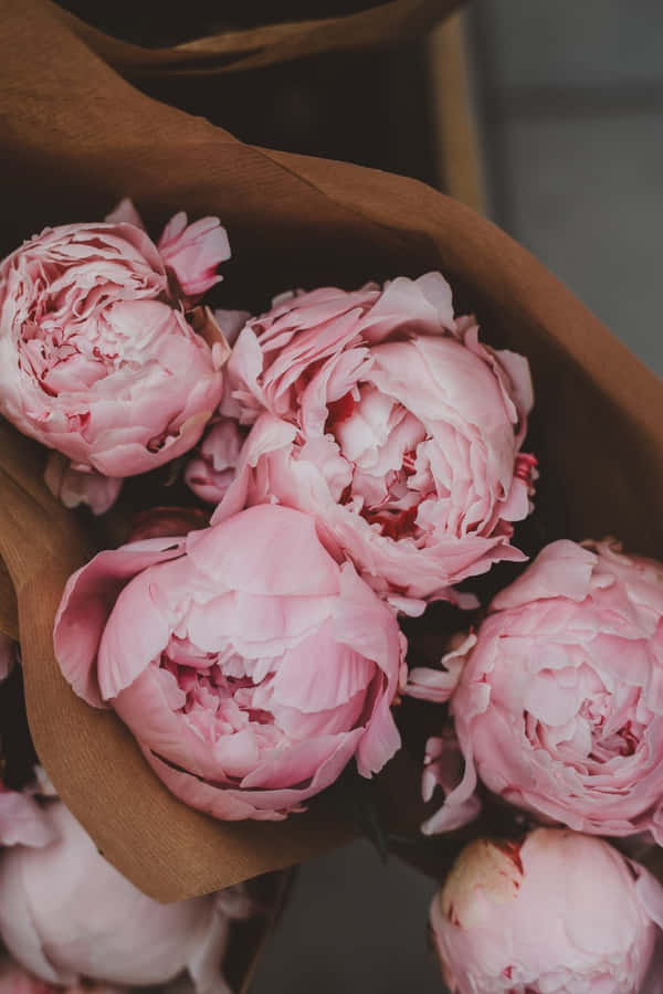 Embrace The Beauty Of The Delicate Peony Flower With This Unique Iphone Case Design. Wallpaper