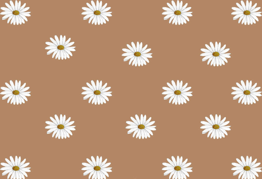 Embrace The Calmness Of Floral Beige Brown Aesthetic Wallpaper