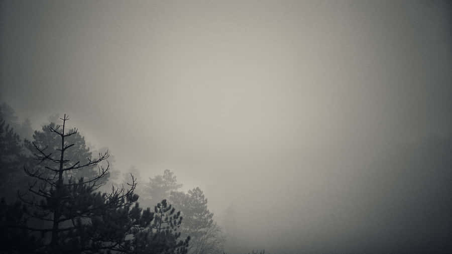Embrace The Vibrant Dark Nature. Wallpaper