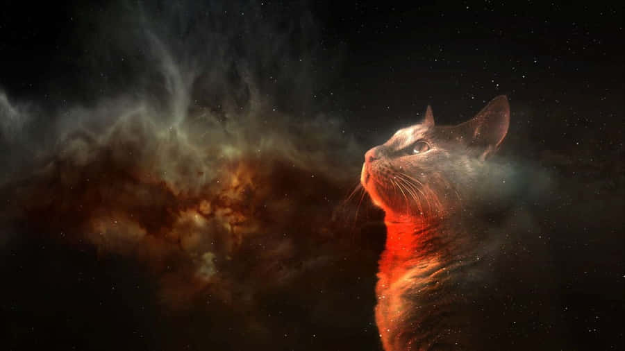 Embrace Your Inner Power With The Magnificent Galaxy Cat Wallpaper