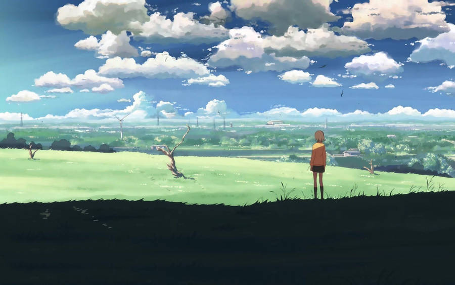 Enchanting Anime Landscape Of Vast Open Field Wallpaper