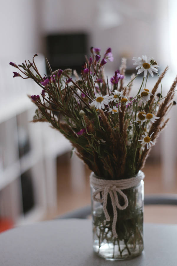 Enchanting Bouquet Of Catchflies And Chamomile Flowers Wallpaper