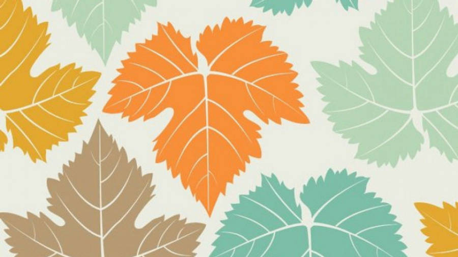 Enchanting Display Of Autumn - Orange, Brown, And Blue Maple Leaves Aesthetic Wallpaper