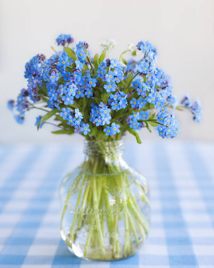 Enchanting Field Of Forget Me Not Flowers Blooming Under A Blue Sky. Wallpaper