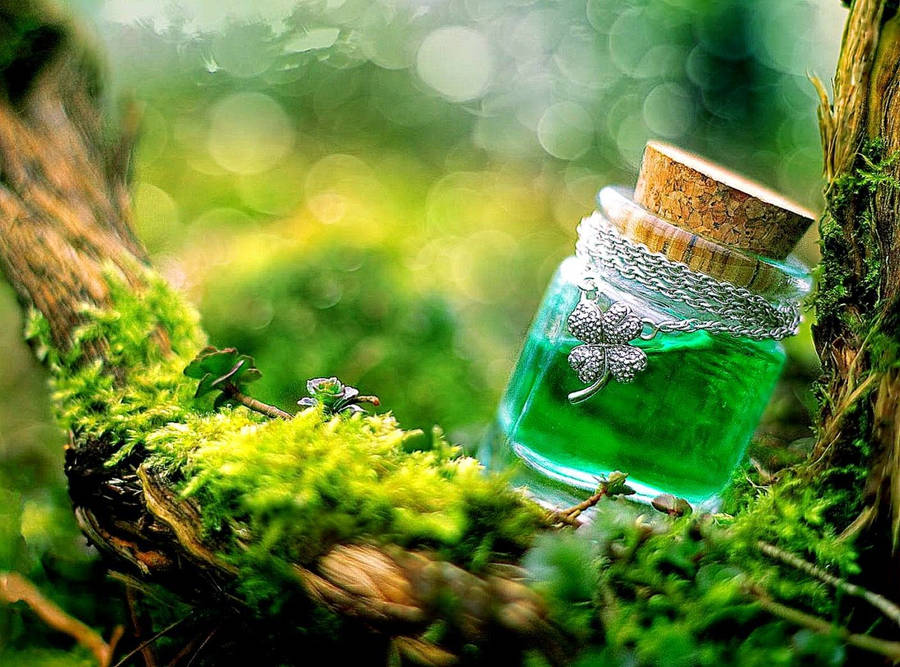 Enchanting Four-leaf Clover Potion On Full Hd Computer Desktop Wallpaper