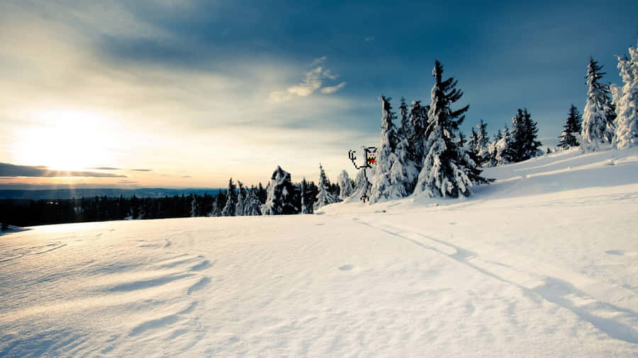 Enchanting Snowy Forest In Winter Wonderland Wallpaper