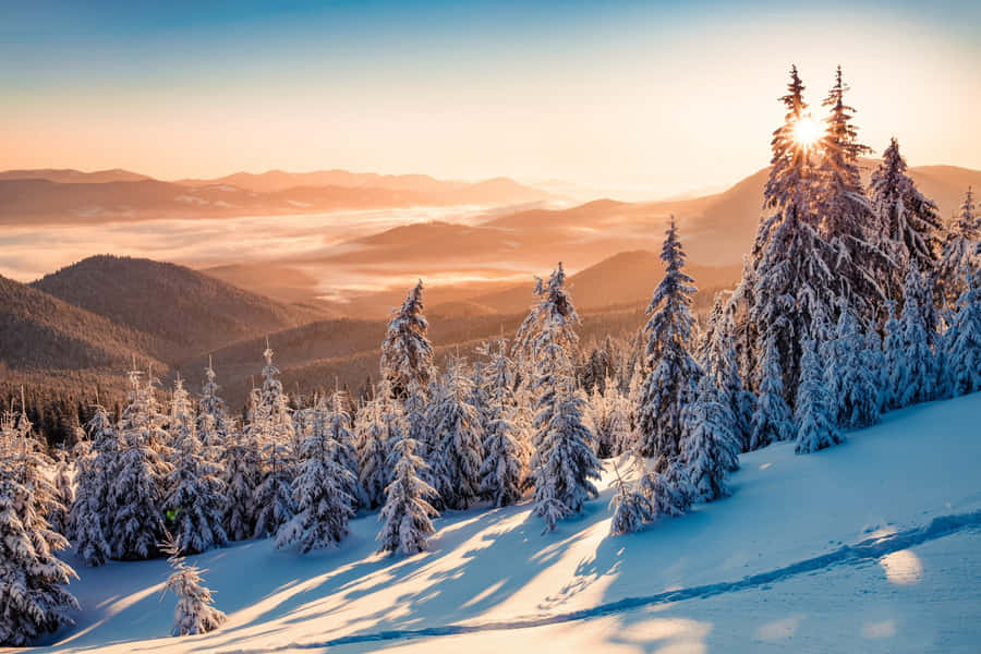 Enchanting Winter Solstice Landscape Wallpaper