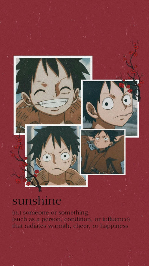 Endearing Luffy Aesthetic Wallpaper