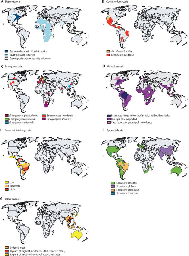 Endemic Cases In The World Wallpaper