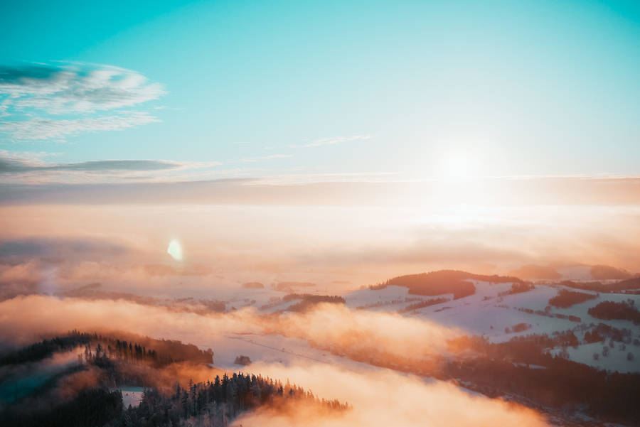 Enigmatic Tranquility Of The Foggy Forest Wallpaper