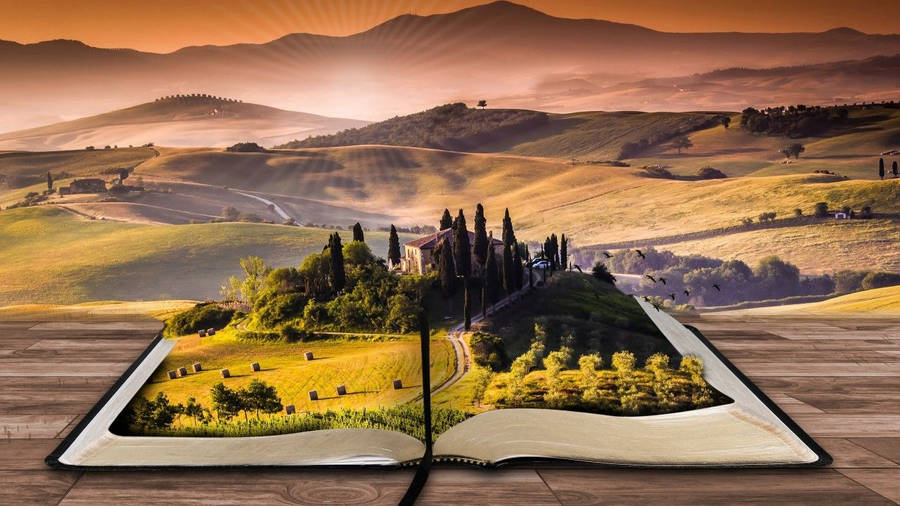 Enjoy A Good Book In Nature Wallpaper