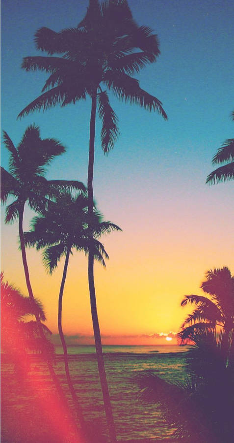 Enjoy A Sunset Beach Paradise With Your Iphone Wallpaper