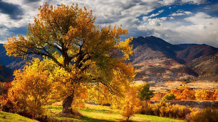 Enjoy Splendid Fall Views Along River Wallpaper