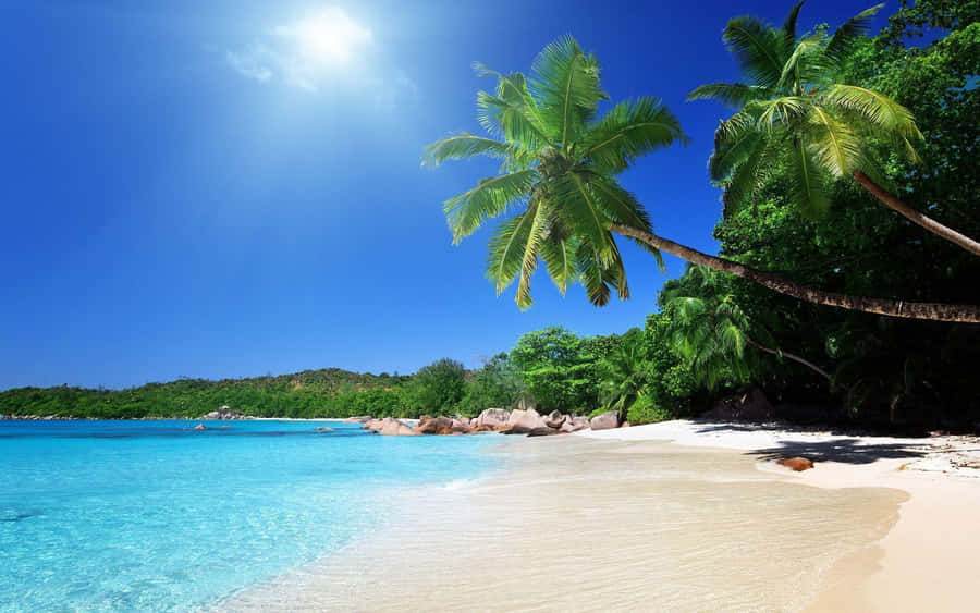 Enjoy The Beautiful Beach In The Caribbean Wallpaper