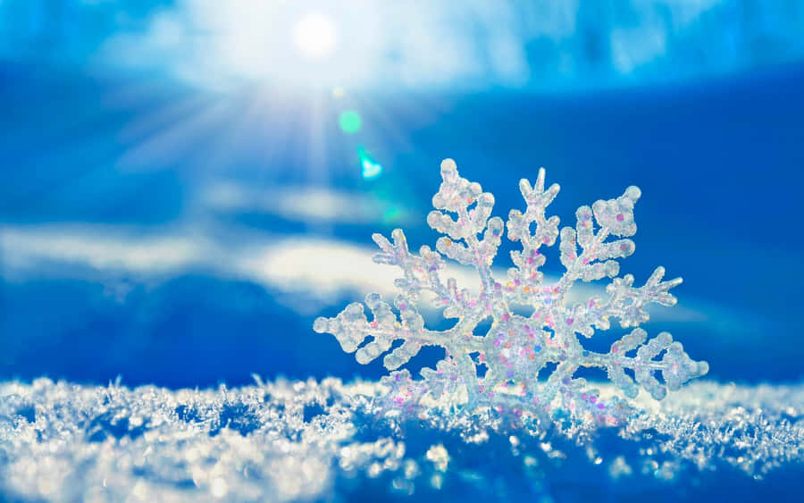 Enjoy The Beauty And Serenity Of A Peaceful Winter Day. Wallpaper
