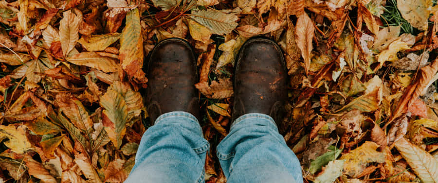Enjoy The Beauty Of Fall With A Stunning 3440x1440 Wallpaper Wallpaper