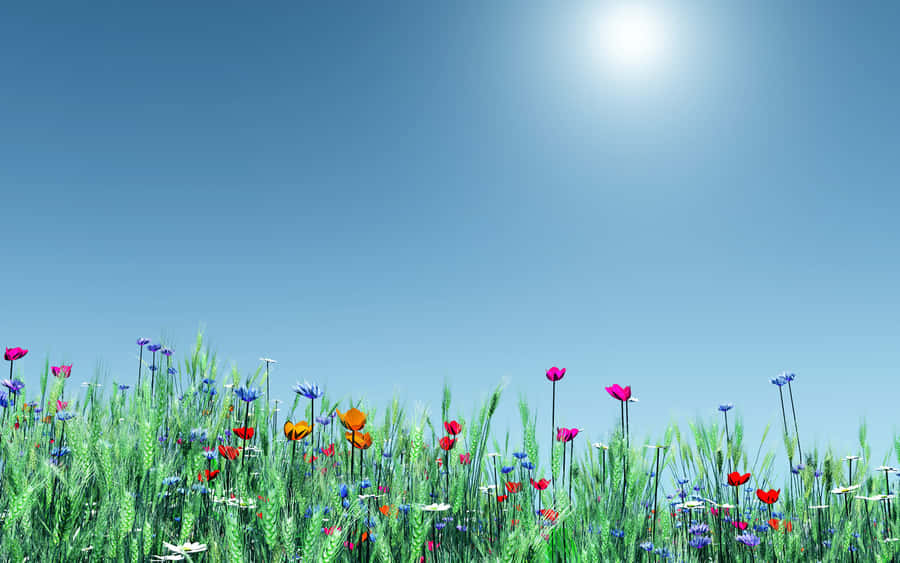 Enjoy The Beauty Of Nature In The Springtime With A Vibrant Green Forest. Wallpaper