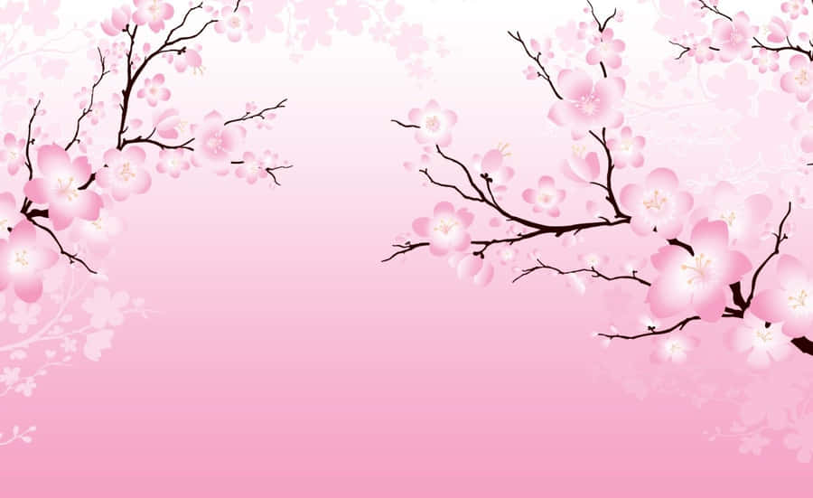 Enjoy The Beauty Of Sakura Blossom In A Peaceful Spring Day Wallpaper