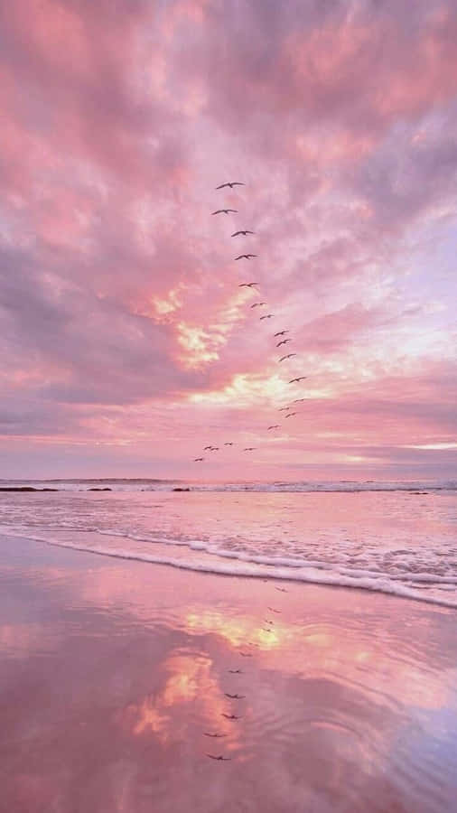 Enjoy The Bliss Of Summer In Pink Wallpaper
