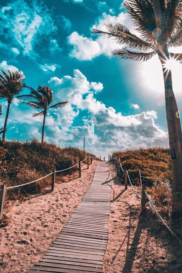 Enjoy The California Summer Wallpaper